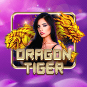 Dragon Tiger spin the wheel game