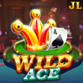 Wild Ace spin the wheel slot